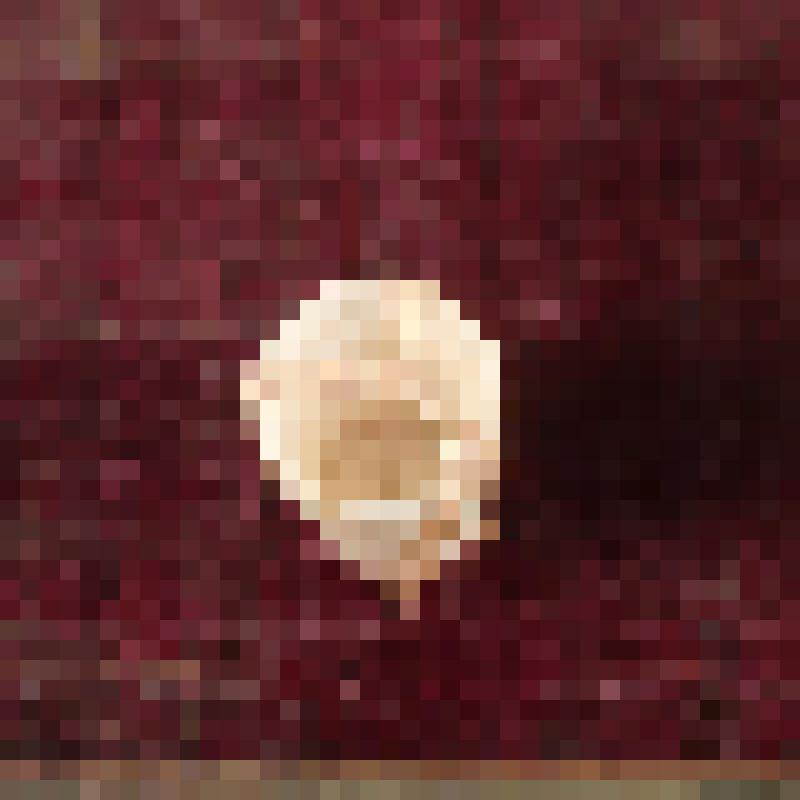 Коробка с костяными бирюльками: кашпо