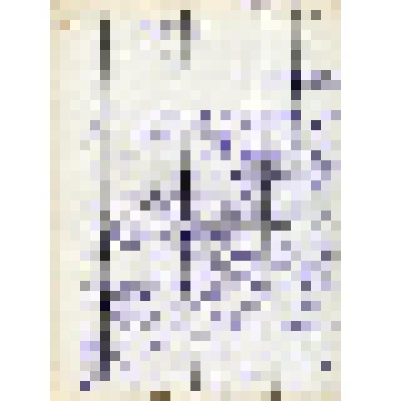 Перевод глав из книги "40 лет истории кино (1895-1935)"