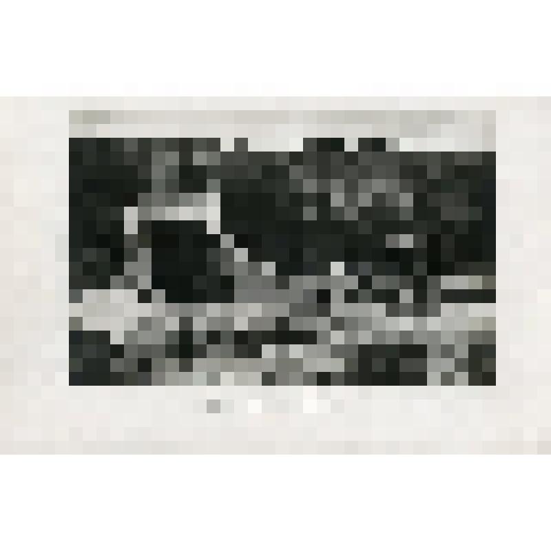 Восточный район. Акуловская плотина. Выходная часть водоспуска. Фотография