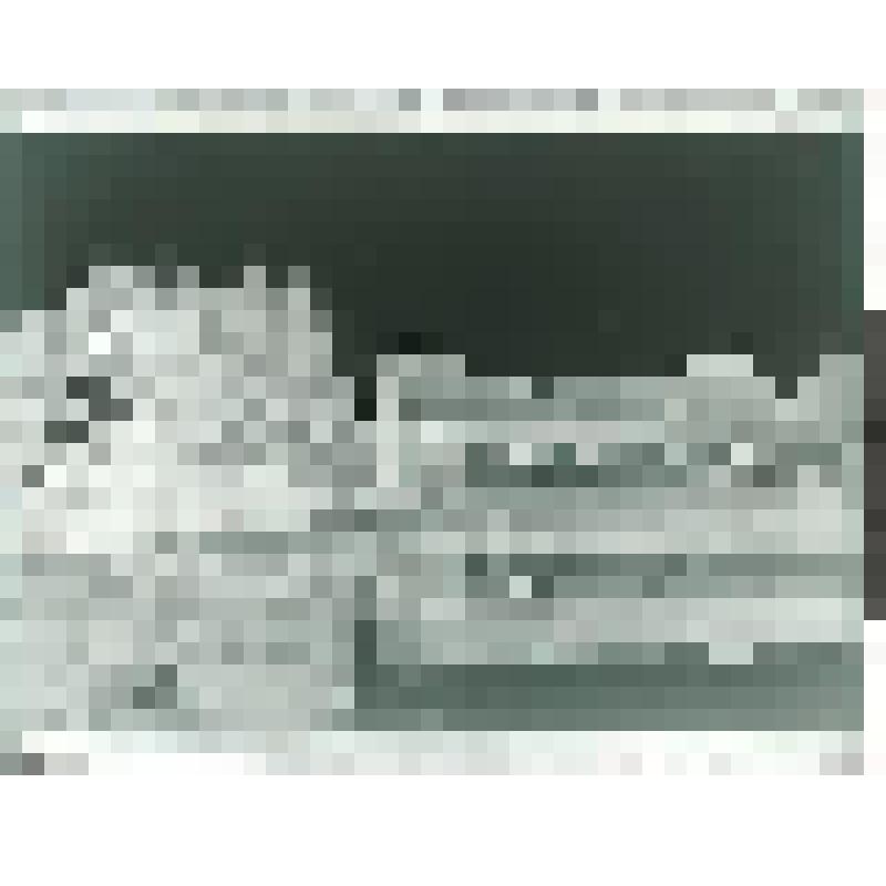 Господский дом и часть парка в Тригорском