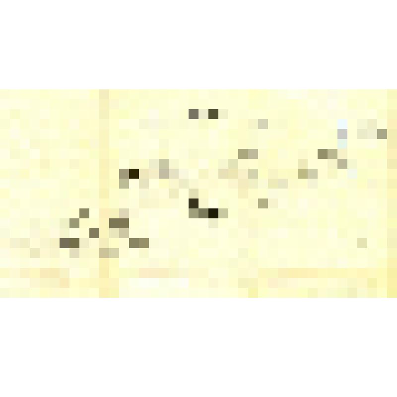 Схема разбивки водопровода от станции до резервуаров. 2-ая пол.1950-х гг