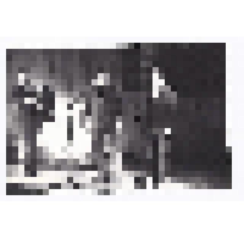 Фотография ч/б. Гальперин, Вильчик - работники УТТ-1. Город Нефтеюганск. Фондообразователь: Общественный музей Нефтеюганска