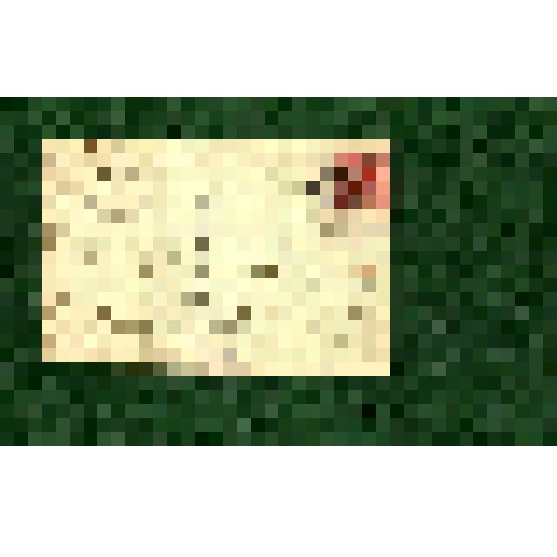 Открытка почтовая. "Шонберг Гор. парк"