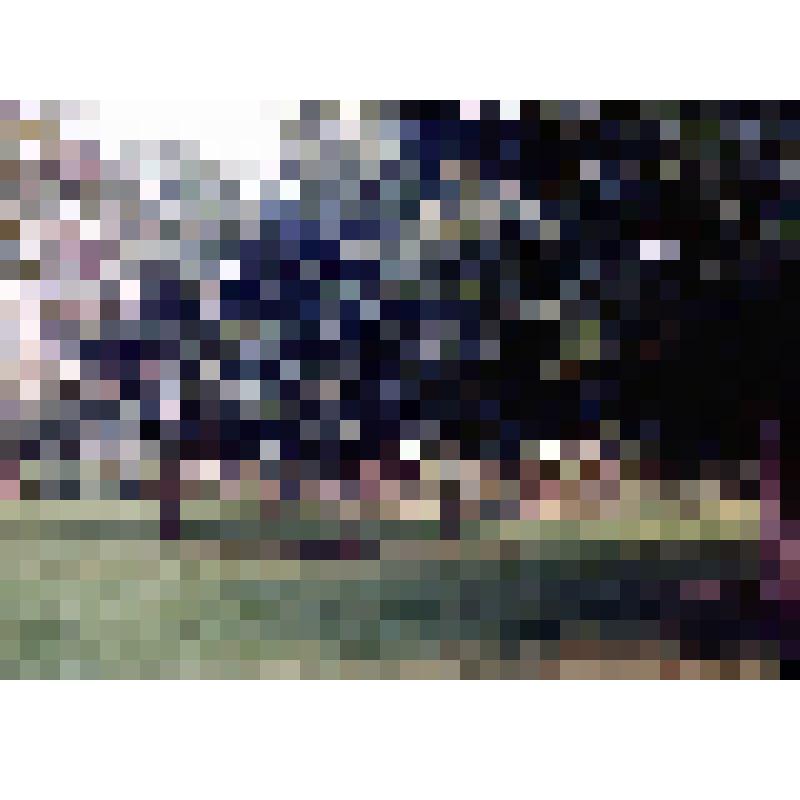 Диапозитив. Второй микрорайон. (12)