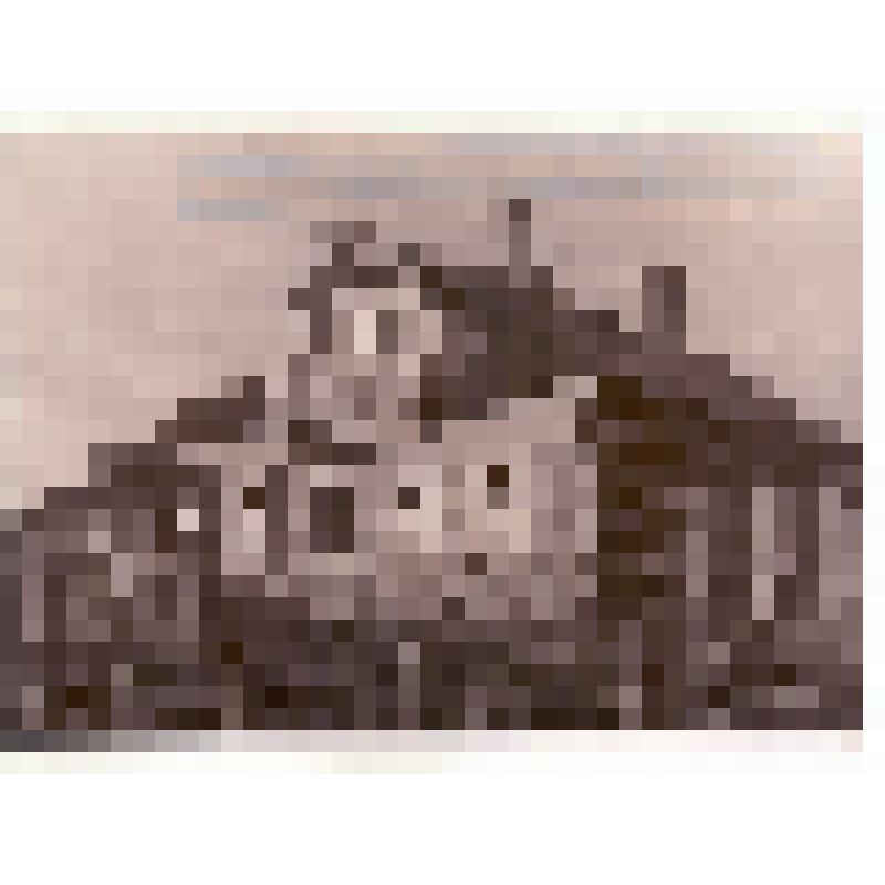 Дом М.И. Калинина