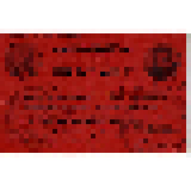 Мандат N 1007 Мяэ А.М. - делегата XVII съезда ВКП(б)