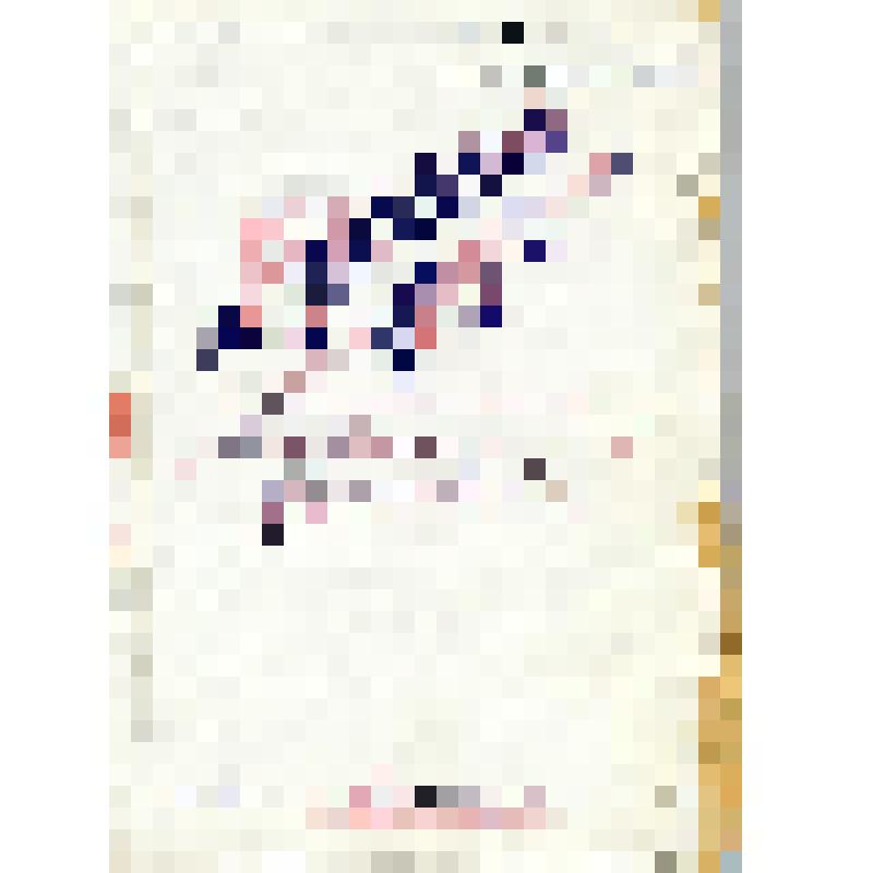 Рукопись. Сценарий пьесы. Власов Ю., Модзалевский Р. Русский друг /Владимир Короленко/. Пьеса в 9 картинах. Роль Короленко В.Г