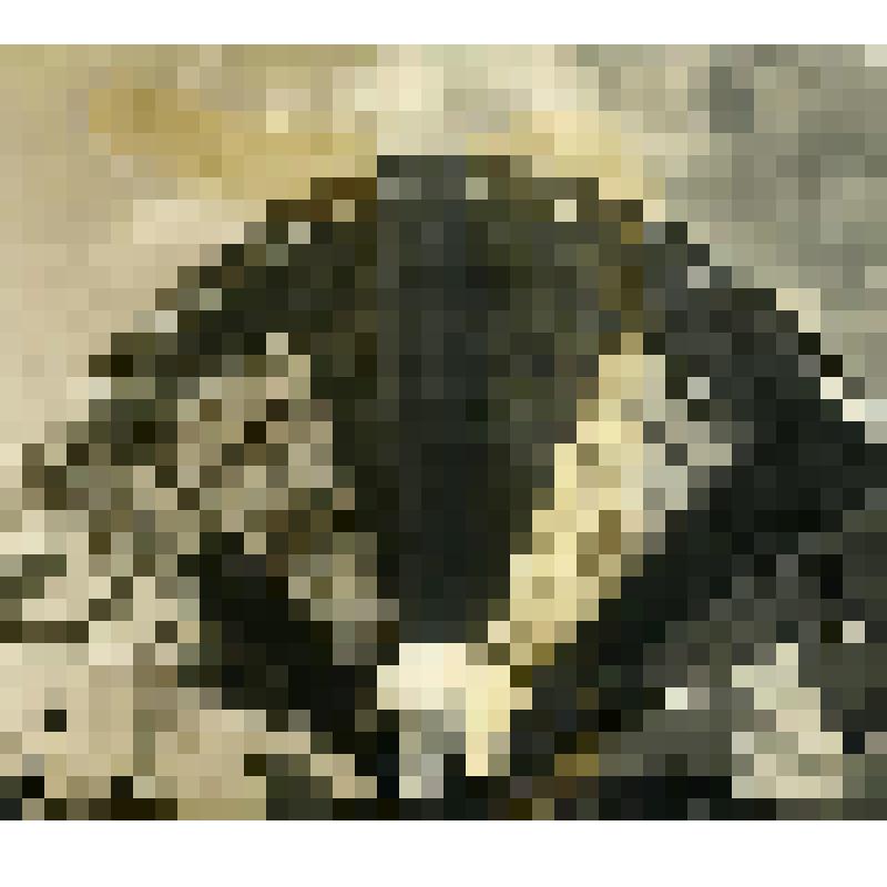 Фотография. Строительство павильона "Механизация" на Всесоюзной сельскохозяйственной выставке