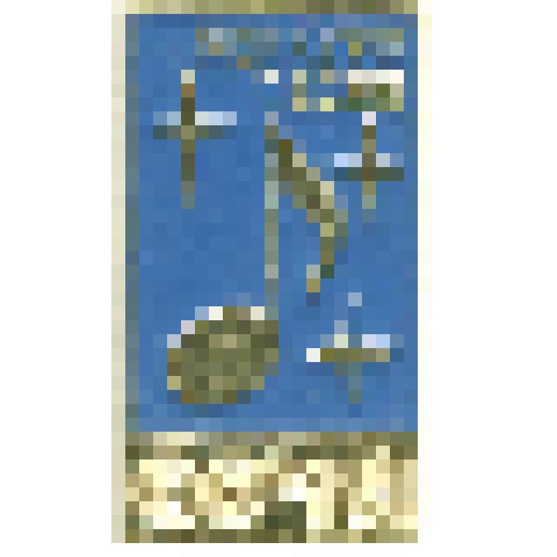 Значок. Сочи. Конкурс песни. на булавке. СССР