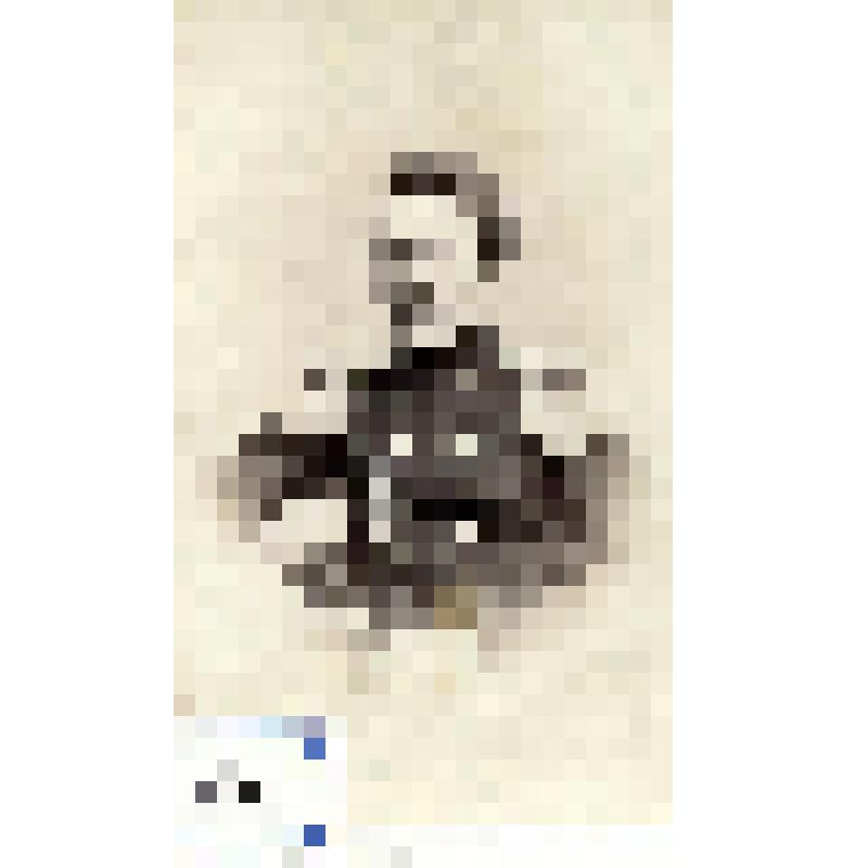 Фотография черно-белая. Dr. Bartochesitsch, врач полка