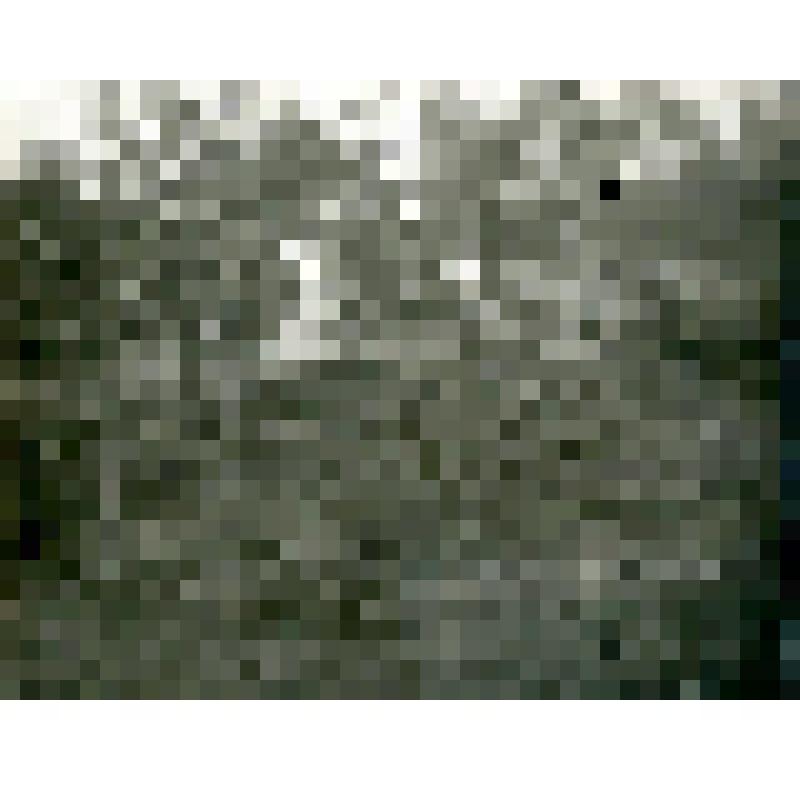 Фотография. Кладбище на р. Урак