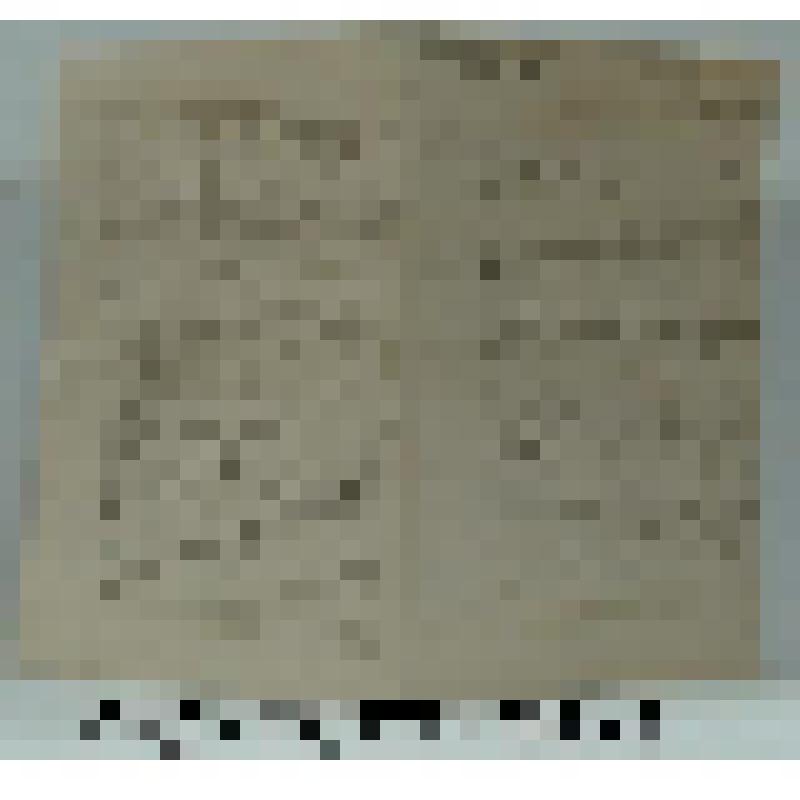 Письмо к Ольге Дмитриевне Тютчевой