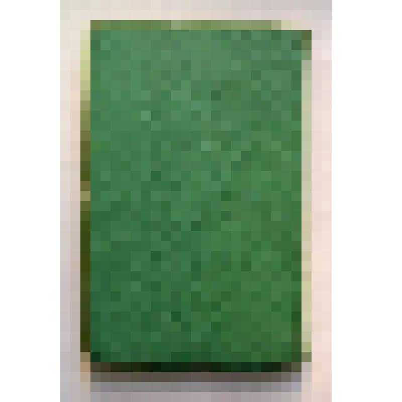 Книга. Бальмонт и Грузия. – Тбилиси: Сабчота Сакартвело, 1972