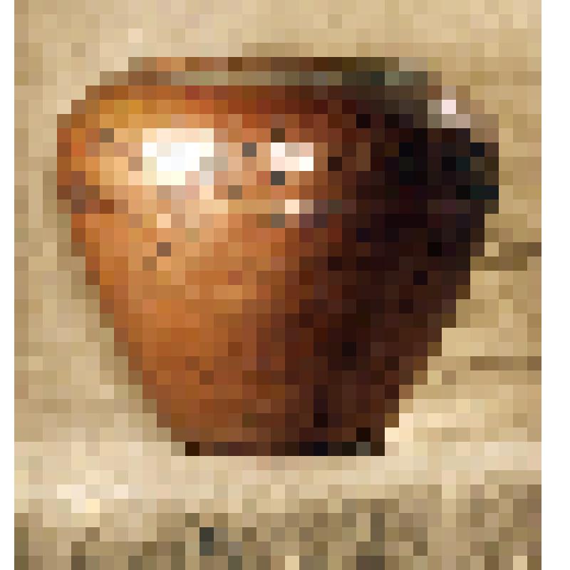 Меденник