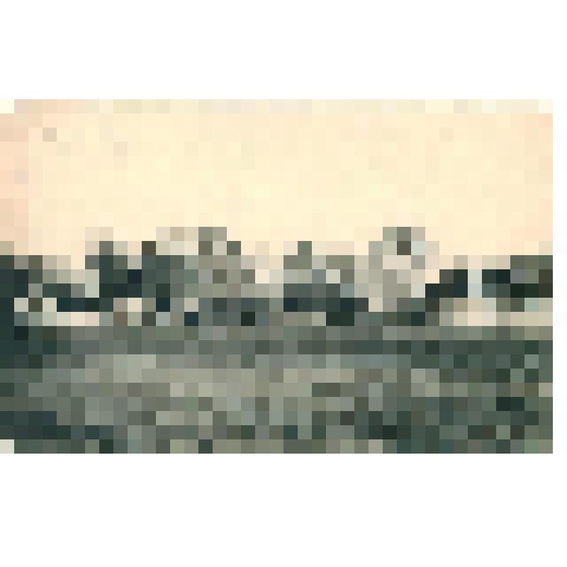 Открытое письмо. "Сызрань. Московская улица"