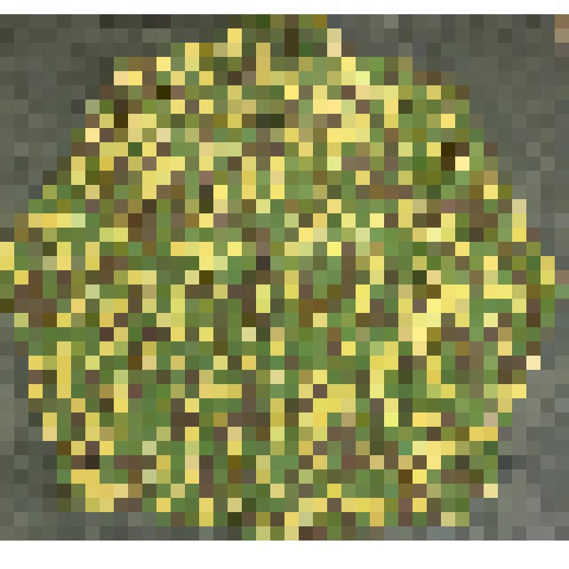 Рубашка армейская камуфляжная В.В. Бусловского