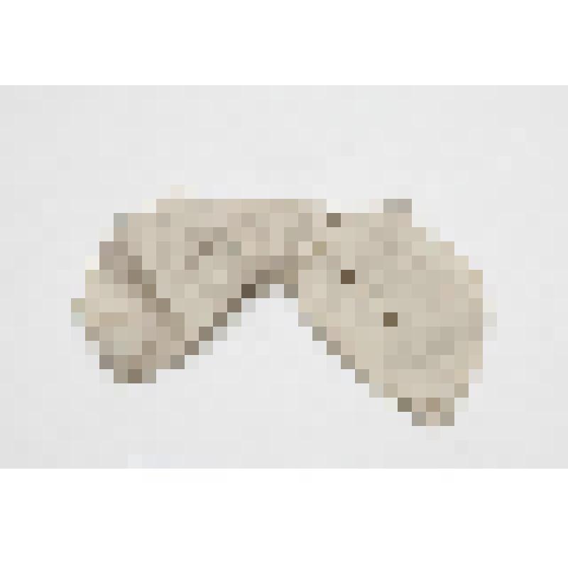 Детали костюма. Бант от костюма К.А.Варламова