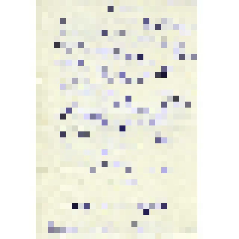 Письмо Вере Тихоновне Бочкиной от председателя Дивногорского исполкома горсовета Ювеналия Павловича Федяева. 19 мая 1980 г