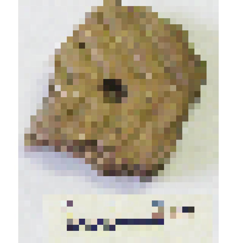 Фрагмент тулова сосуда