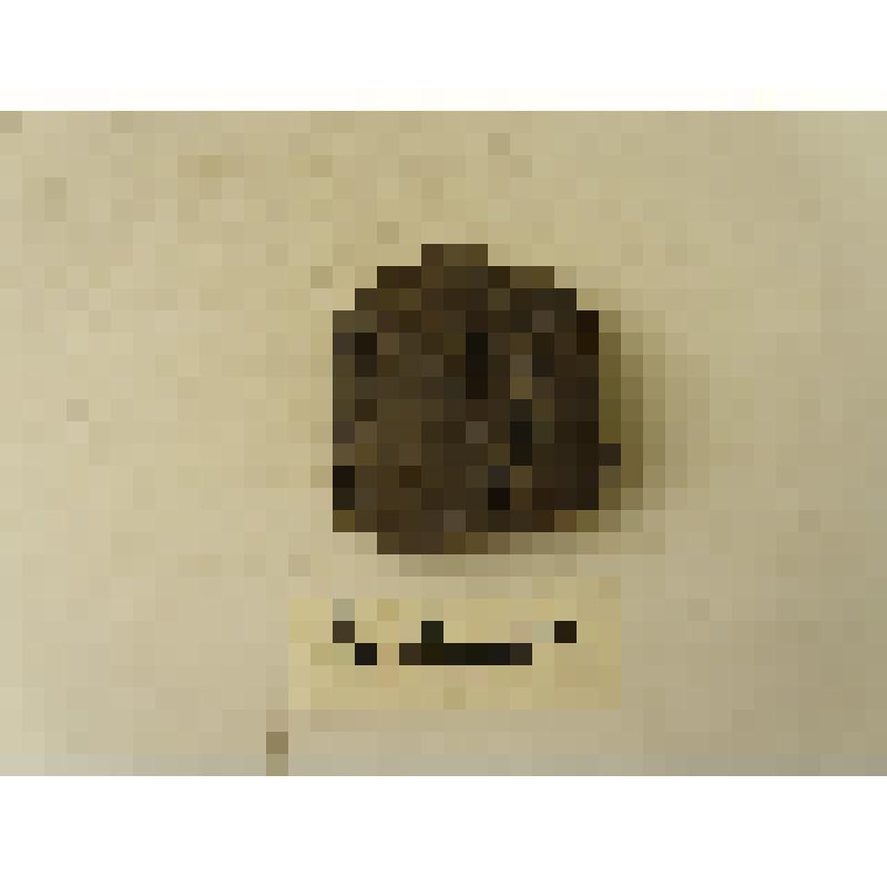 Фрагмент тулова сосуда