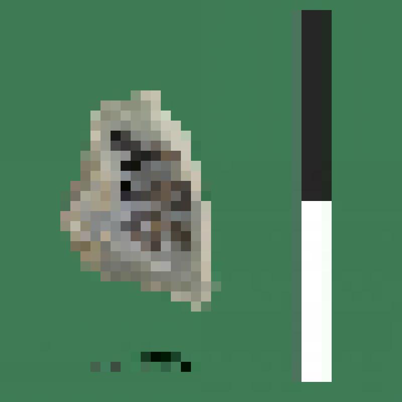 Мелкий отщеп, подтреугольной формы, серо голубого цвета