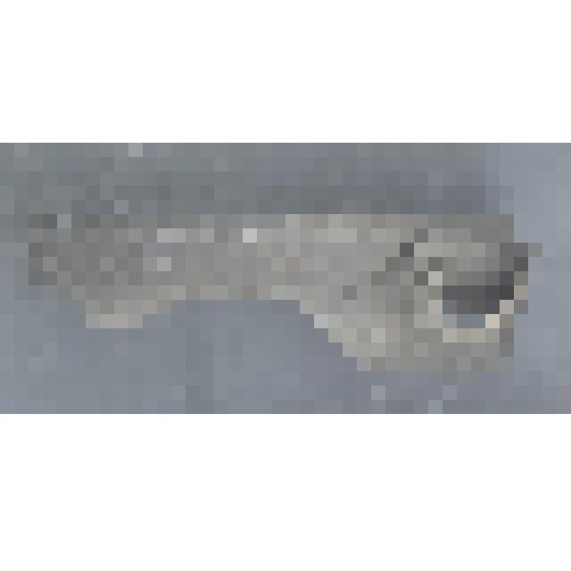 Сосуда белоглиняного мореного венчика фрагмент со сливом