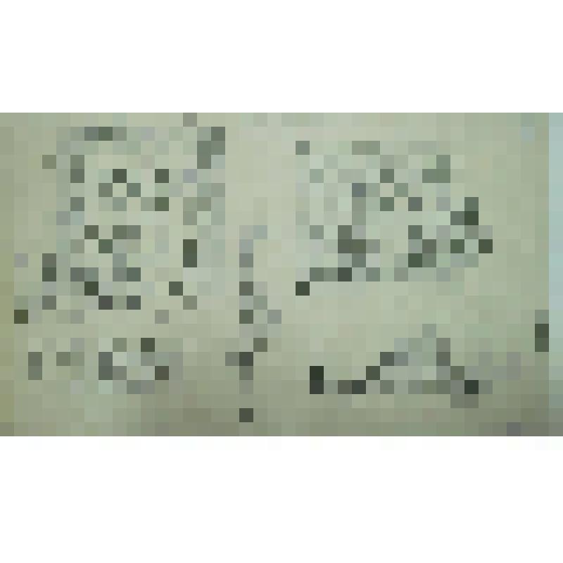 Прорисовка фрагментов среднерусских орнаментов XVI века. Рисунок