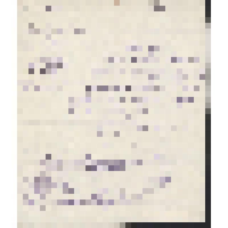 Справка (Копия) Н.П. Кавалеридзе