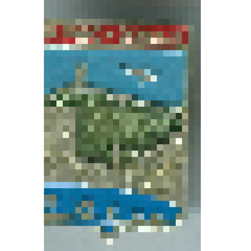Значок "Красноярск". СССР