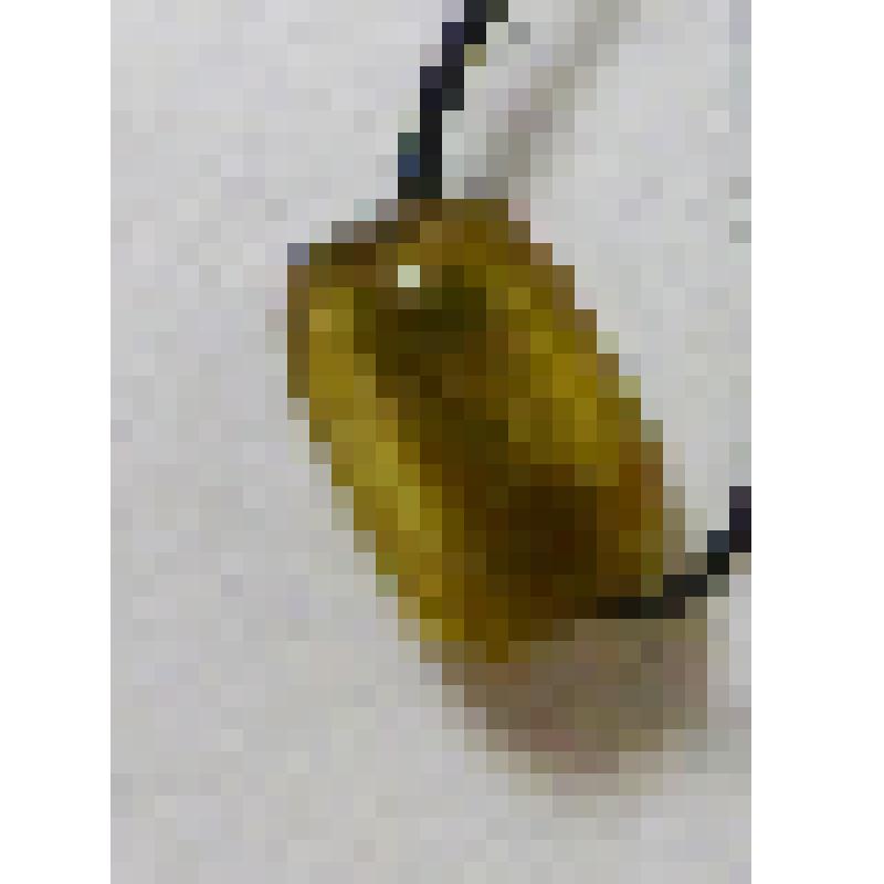 Бусы