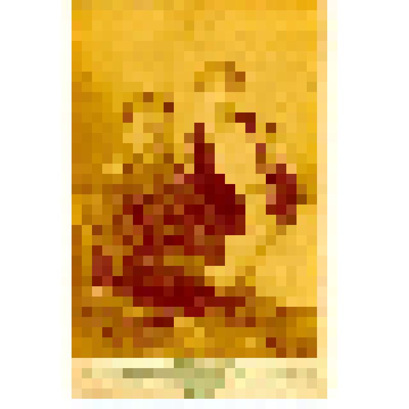 Фотография. Спирин Павел Сергеевич, горбатовский фабрикант с женой