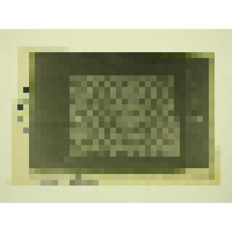 Флигель. Усадьба Мураново. 1879 г. Московская обл., Пушкинский р-н, Мураново. Флигель. Усадьба Мураново. 1879 г. Комната прислуги. Фрагмент обоев ( пласт 2-й,слой 1-й)