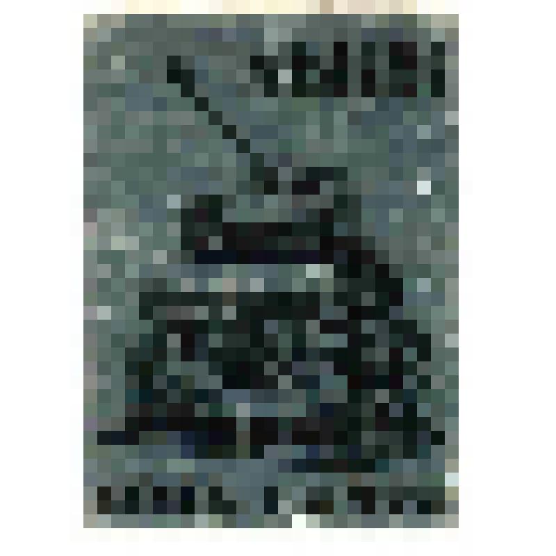 Значок. Львов. 1944-1974. на иголке. СССР
