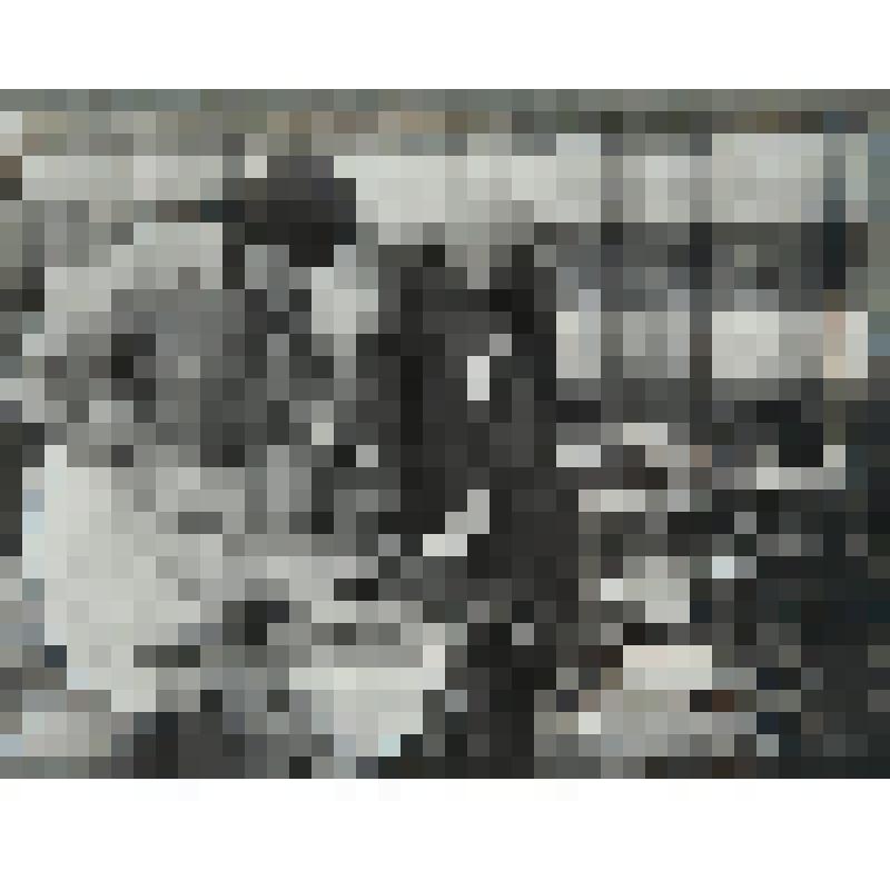 Фотография из альбома. Станица 33 фотография 112. Проба экспортной икры на холодильнике