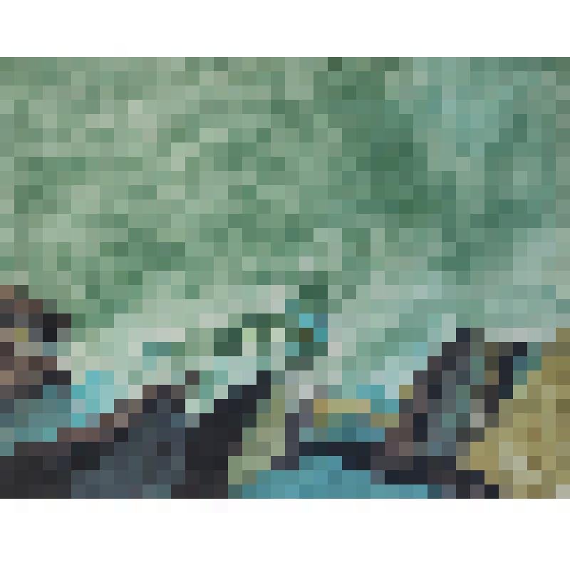 «Кембрийское море»