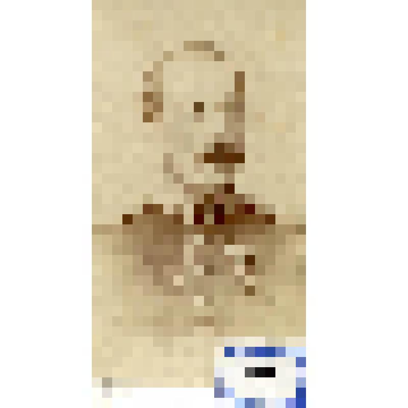 Фотография черно-белая. Левандовский