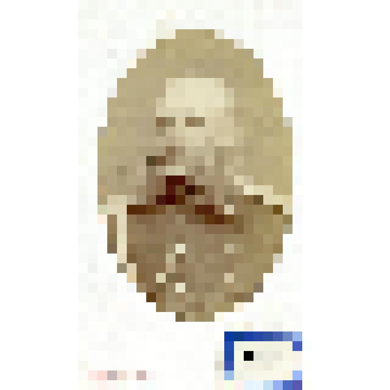 Фотография черно-белая. Барон Андрей Николаевич Корф