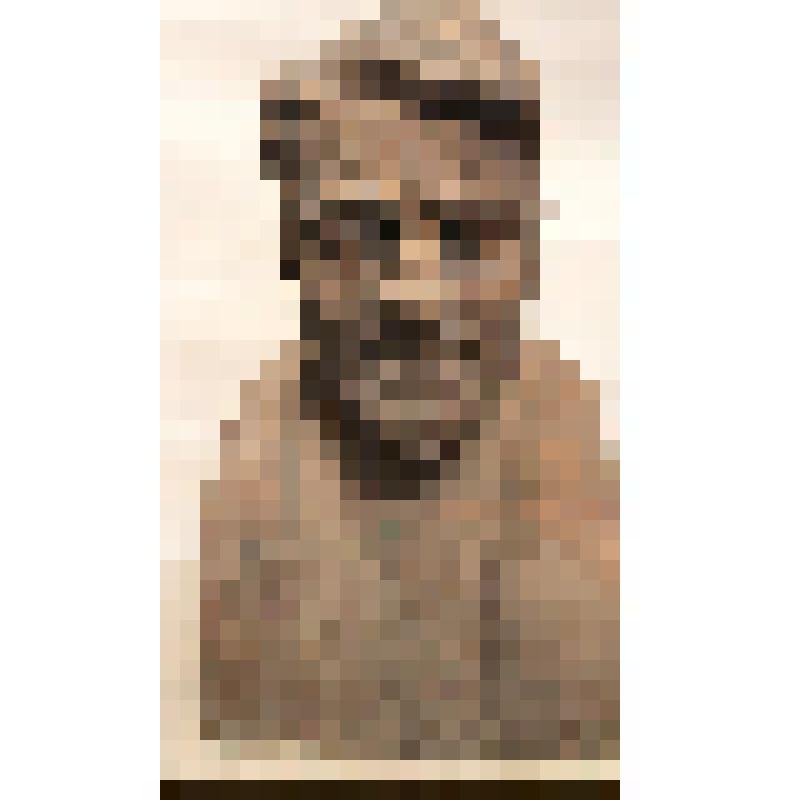 Портрет Героя Соцтруда Э. Коулиня