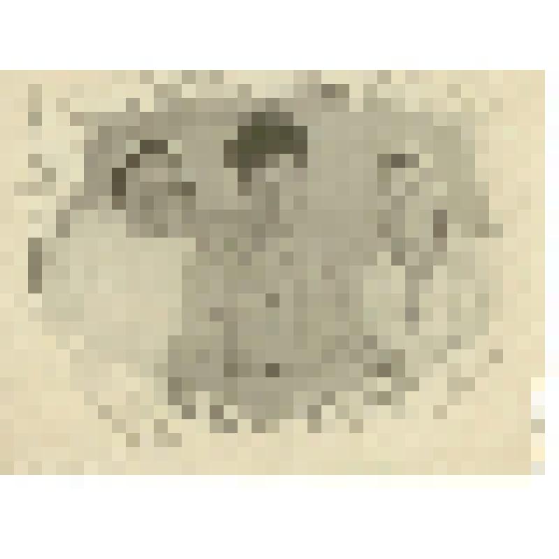 Фотография. Ванюсова Клавдия Ивановна, подавальщица госпиталя № 3313 г. Саратова, с ранбольным и работницей кухни