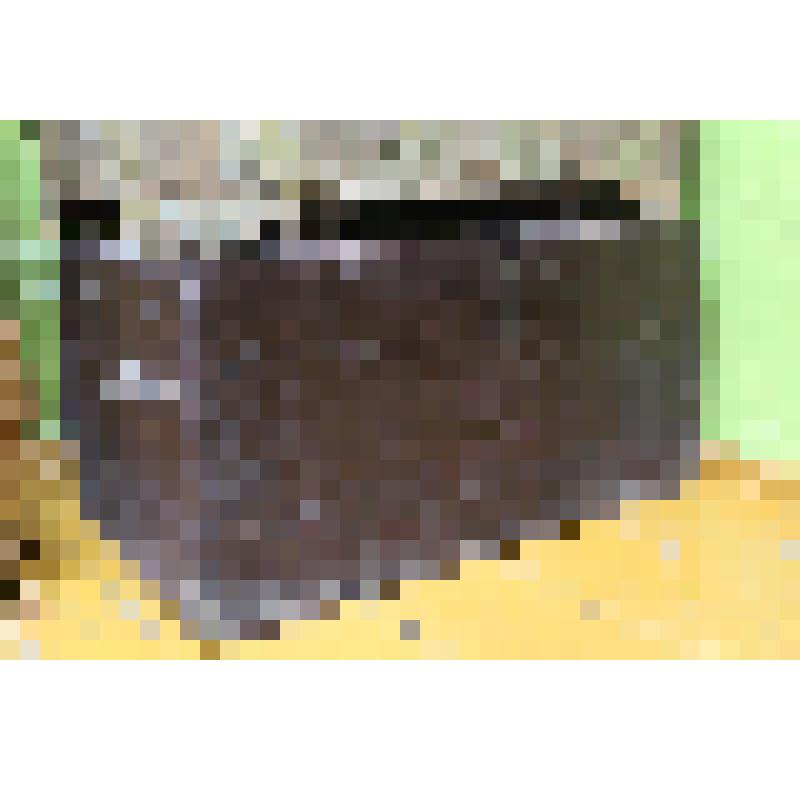 Сундук темно-коричневого цвета с 2-мя ручками - скобами и планкой для замка