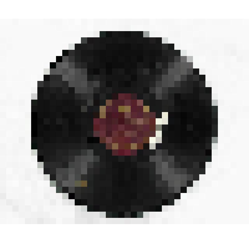 Грампластинка "Партизан Железняк", "Москва майская"