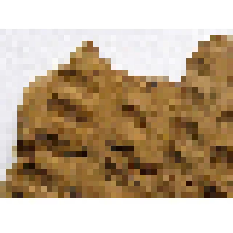 Фрагмент стенки сосуда