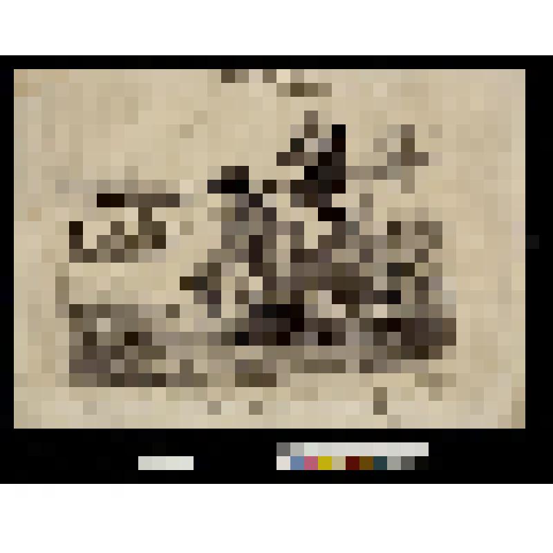 Une rencontre en pleine eau