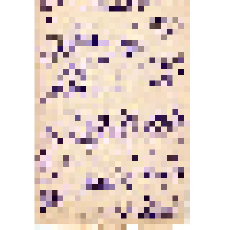 Выписка из прессы