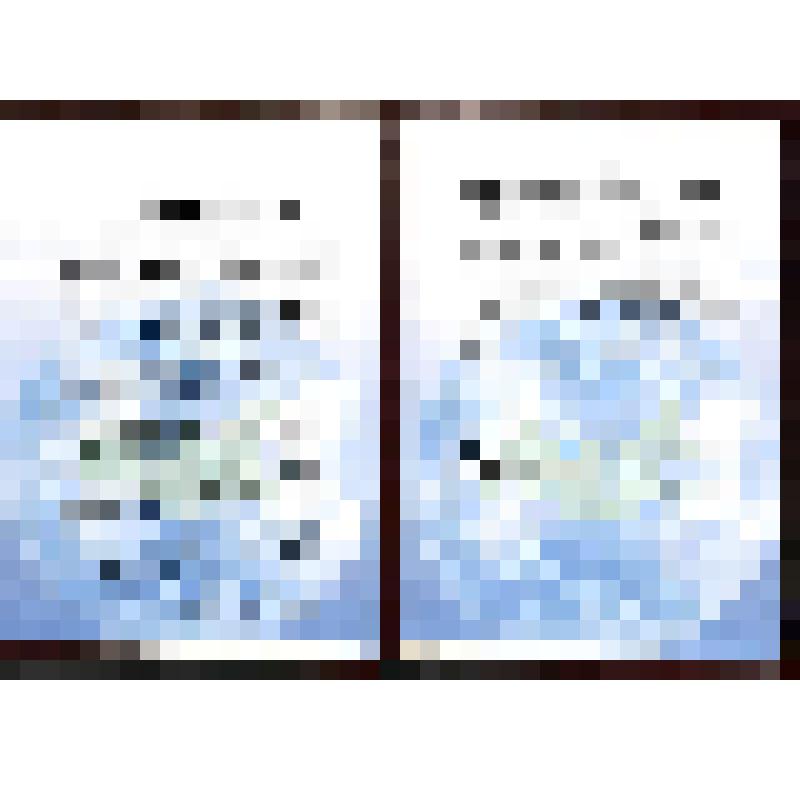 Приветственный адрес Президенту - Главе Правительства Республики Тыва   от председателя Исполнительного комитета Межрегиональной ассоциации «Сибирское соглашение» В.И.Иванкова