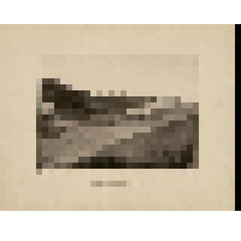 Фототипия. Село Черкизово (Моск. у.)