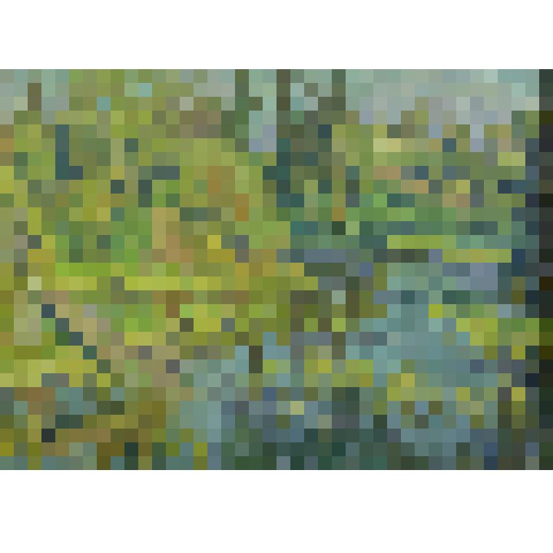 Заросший пруд. Вечер