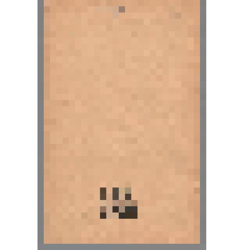 Журнал. Вопросы истории