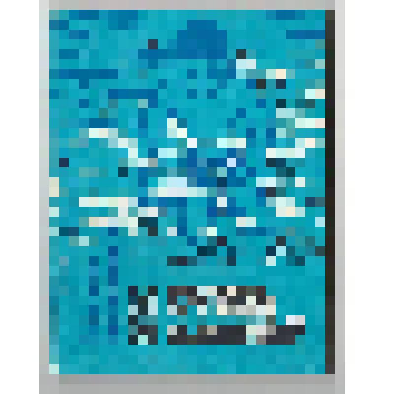 Книги. Книга "Камни в воде: Стихи, песни, баллады и поэмы (на тувинском языке)". - Кызыл: Тувинское книжное издательство, 1983