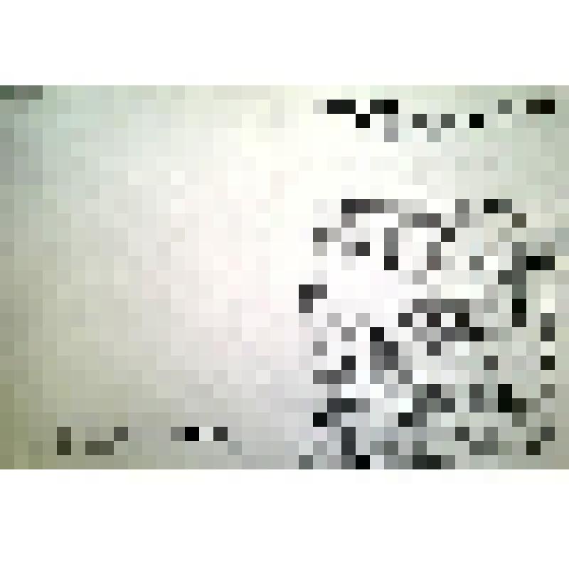 Учетная карта-паспорт квартала исторической застройки к историко-архитектурному опорному плану и проекту зон охраны, город Тула. Район: Пролетарский, квартал №53